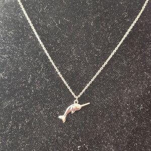 ETC! Narwhal Charm Silver tone Necklace